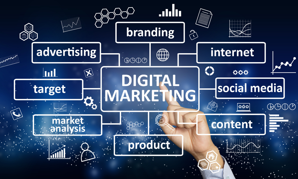 Digital marketing agency in Jodhpur